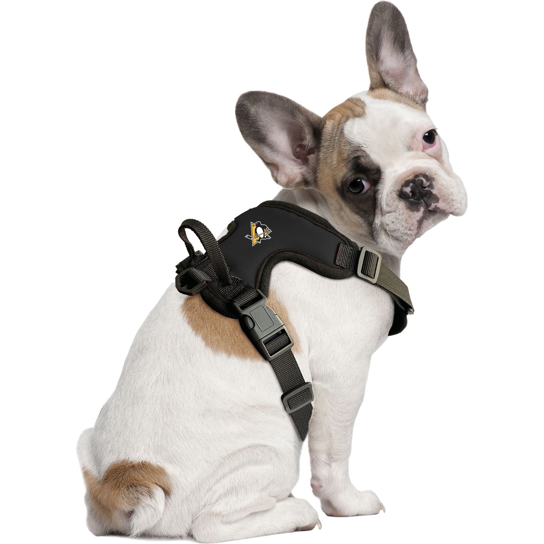 Littlearth NHL Front Clip Dog Harness, Pittsburgh Penguins, X-Small