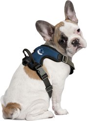 Littlearth NHL Front Clip Dog Harness, Vancouver Canucks, Large