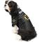Show in main carousel: Littlearth NHL Personalized Stretch Dog & Cat Jersey, Boston Bruins, X-Small slide 3 of 7