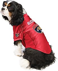 Littlearth NHL Personalized Stretch Dog & Cat Jersey, Florida Panthers, Medium slide 2 of 6