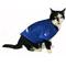 Show in main carousel: Littlearth NHL Personalized Stretch Dog & Cat Jersey, New York Rangers, Small slide 5 of 7