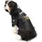 Show in main carousel: Littlearth NHL Personalized Stretch Dog & Cat Jersey, Pittsburgh Penguins, X-Small slide 3 of 7