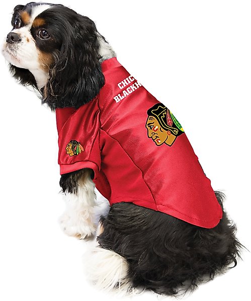 Show full view: Littlearth NHL Stretch Dog & Cat Jersey, Chicago Blackhawks, Large slide 3 of 8