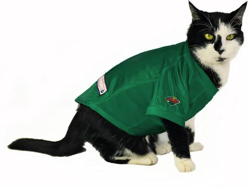 Show full view: Littlearth NHL Stretch Dog & Cat Jersey, Minnesota Wild, X-Small slide 5 of 8