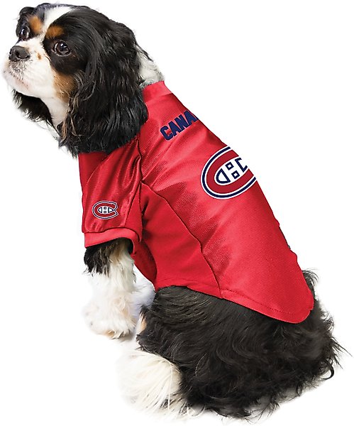 Show full view: Littlearth NHL Stretch Dog & Cat Jersey, Montreal Canadiens, Large slide 3 of 8