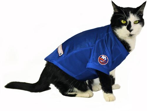 Show full view: Littlearth NHL Stretch Dog & Cat Jersey, New York Islanders, X-Small slide 5 of 8