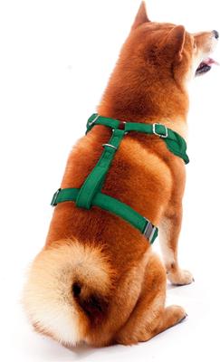 Show full view: Littlearth NHL Velvet Dog Harness, Minnesota Wild, Large slide 3 of 6