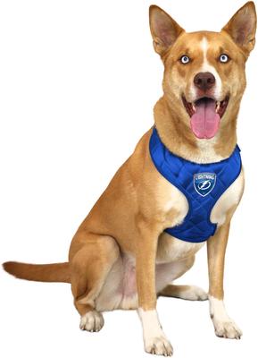 Show full view: Littlearth NHL Velvet Dog Harness, Tampa Bay Lightning, Large slide 2 of 6