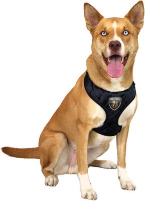 Show full view: Littlearth NHL Velvet Dog Harness, Vegas Golden Knights, X-Small slide 2 of 6