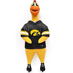Littlearth Rubber Chicken Squeaky Dog Chew Toy, Iowa Hawkeyes