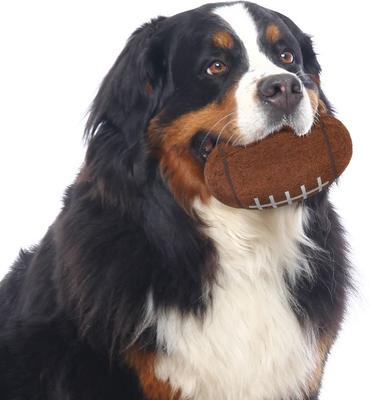 Show full view: Littlearth Tough Chewer Dog Ball Toy, Iowa State Cyclones slide 2 of 6