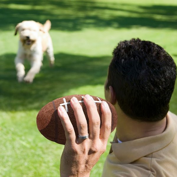 Show full view: Littlearth Tough Chewer Dog Ball Toy, Kansas State Wildcats slide 4 of 6
