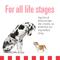 Show in main carousel: Livelong Healthy & Strong Adut High-Protein Beef & Sweet Potato Recipe Pate Wet Dog Food, 12.5-oz can, case of 12 slide 5 of 8