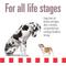 Show in main carousel: Livelong Healthy & Strong Bison/Buffalo & Sweet Potato Recipe Wet Dog Food, 12.5-oz can, case of 12 slide 4 of 7
