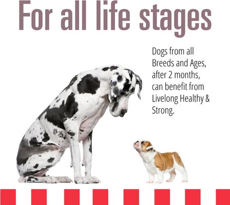 Show full view: Livelong Healthy & Strong Bison/Buffalo & Sweet Potato Recipe Wet Dog Food, 12.5-oz can, case of 12 slide 4 of 7