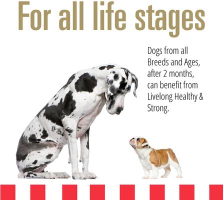 Show full view: Livelong Healthy & Strong Chicken & Sweet Potato Recipe Wet Dog Food, 12.5-oz can, case of 12 slide 5 of 8