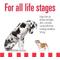 Show in main carousel: Livelong Healthy & Strong Lamb, Beef & Sweet Potato Recipe Wet Dog Food, 12.5-oz can, case of 12 slide 5 of 8