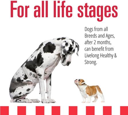 Show full view: Livelong Healthy & Strong Lamb, Beef & Sweet Potato Recipe Wet Dog Food, 12.5-oz can, case of 12 slide 5 of 8