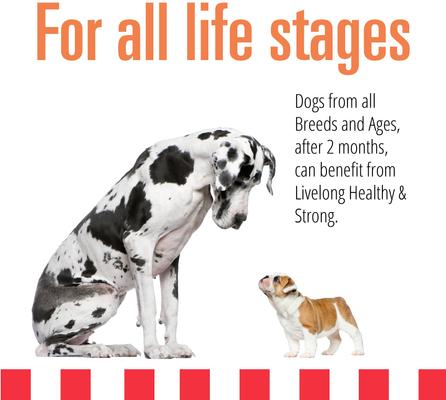 Show full view: Livelong Healthy & Strong Salmon & Sweet Potato Recipe Wet Dog Food, 12.5-oz can, case of 12 slide 4 of 7