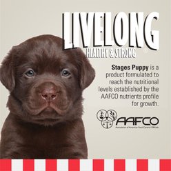 Livelong Healthy & Strong Stages Puppy Wet Dog Food, 12.5-oz can, case of 12 slide 2 of 6