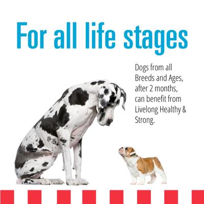 Show full view: Livelong Healthy & Strong Trout & Sweet Potato Recipe Wet Dog Food, 12.5-oz can, case of 12 slide 5 of 8