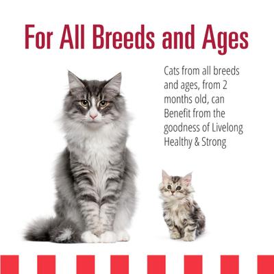 Show full view: Livelong Healthy & Strong Yummy Meats Wet Cat Food, 5.5-oz can, 24 count slide 5 of 7