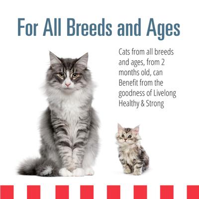 Show full view: Livelong Healthy & Strong Yummy Seafood Wet Cat Food, 5.5-oz can, 24 count slide 5 of 7