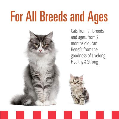 Show full view: Livelong Healthy & Strong Yummy Turducken Wet Cat Food, 5.5-oz can, 24 count slide 5 of 7