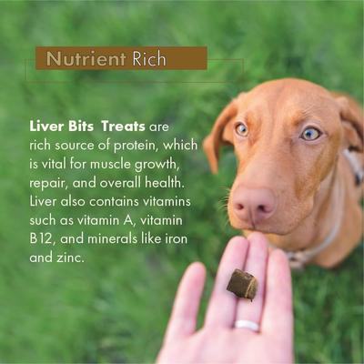 Show full view: Liver Bits Freeze-Dried Raw Dog Treats, 4-oz bag slide 8 of 10