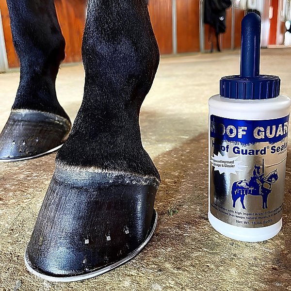 Show full view: Livingston Tech Hoof Guard Sealant Liquid Horse Supplement, 16-fl oz bottle slide 2 of 3