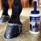 Show in main carousel: Livingston Tech Hoof Guard Sealant Liquid Horse Supplement, 16-fl oz bottle slide 2 of 3