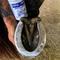 Show in main carousel: Livingston Tech Kera-Prep Hoof Hardener Liquid Horse Supplement, 8-fl oz bottle slide 2 of 3