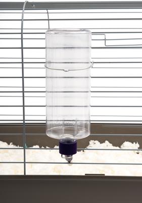 Show full view: Lixit Best Buy Rabbit Water Bottle, Clear, 32-oz slide 4 of 8