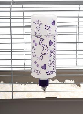 Show full view: Lixit Best Buy Rabbit Water Bottle, Frosted, 32-oz slide 4 of 7