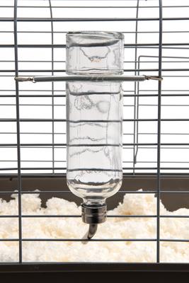 Show full view: Lixit Chew Proof Glass Bird & Small Animal Bottle, 12-oz slide 6 of 8