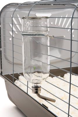 Show full view: Lixit Chew Proof Glass Bird & Small Animal Bottle, 26-oz slide 5 of 8