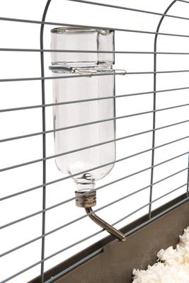 Show full view: Lixit Chew Proof Glass Bird & Small Animal Bottle, 26-oz slide 6 of 8