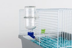 Lixit Chew Proof Glass Bird & Small Animal Water Bottle, 8-oz slide 2 of 6