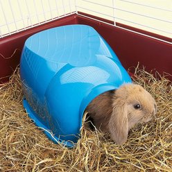 Lixit Igloo Small Pet Hideout, Blue, X-Large slide 2 of 7