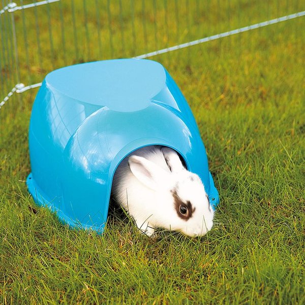 Lixit Igloo Small Pet Hideout, Blue, X-Large