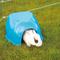 Show in main carousel: Lixit Igloo Small Pet Hideout, Blue, X-Large slide 6 of 7