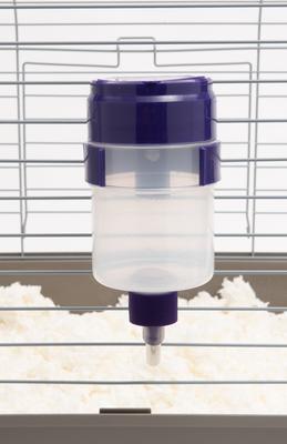 Show full view: Lixit Quick Lock Flip Top Rabbit Water Bottle, 16-oz slide 5 of 9