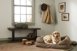 L.L.Bean Denim Premium Sofa Removable Cover Dog & Cat Bed, Burlap, Large slide 1 of 4