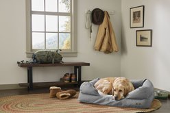 L.L.Bean Denim Premium Sofa Removable Cover Dog & Cat Bed, Platinum, Large