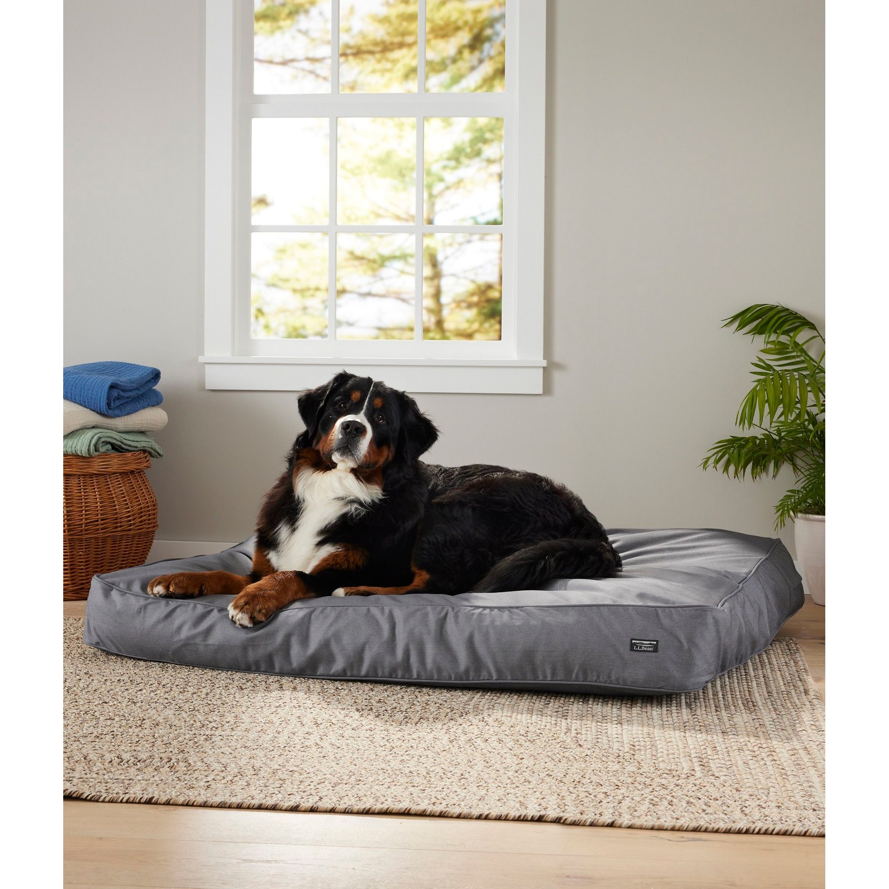 L.L.Bean Premium Denim Rectangular Dog & Cat Bed, Platinum, X-Large
