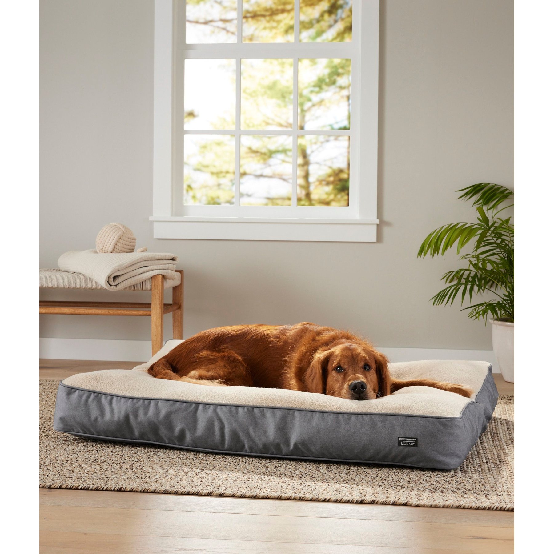 L.L.Bean Premium Fleece Dog & Cat Bed with Removable Cover, Platinum, Large