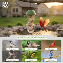 LONA Love Nature 2-Port Quick-Refill Design Finch Wild Bird 4 Suet Balls Feeder, Green slide 2 of 7