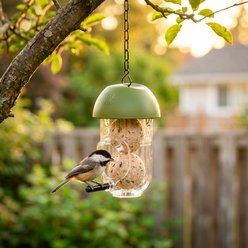 LONA Love Nature Durable Easy Hanging System Finch Wild Bird Suet Balls Holder Feeder, Green slide 2 of 8