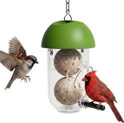 LONA Love Nature Durable Easy Hanging System Finch Wild Bird Suet Balls Holder Feeder, Green