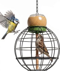 LONA Love Nature Round Finch Wild Bird Mesh Cage Feeder, Green